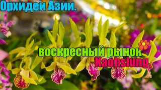 Азия, цветочный рынок. Тайвань