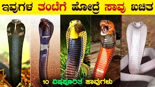 ಅತ್ಯಂತ ವಿಷಪೂರಿತವಾದ 9 ಹಾವುಗಳು | The Most Venomous Snakes in the World | Snakes | VismayaVani