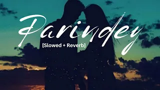 Parindey - B praak || [Slowed + reverb] Gippy Grewal, Sargun Mehta || Latest Punjabi song 2024