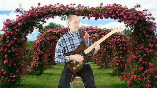 Rose Garden - Joe South - Guitar Instrumental cover by Kjell Christensen