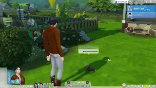 Saving a Rabbit from Being Eaten by a Fox: Sims 4