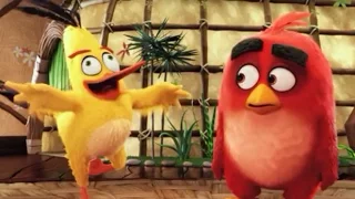 Angry Birds | Offisiell trailer (norsk tale)