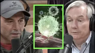 How Serious is the Coronavirus? Infectious Disease Expert Michael Osterholm Explains | Joe Rogan