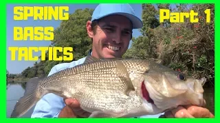 Early Spring Bass Fishing Tactics & How To Tips (Part 1)