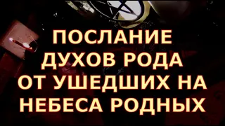 ПОСЛАНИЕ ДУХОВ РОДА ЧТО ХОТЯТ ВАМ СКАЗАТЬ УШЕДШИЕ НА НЕБЕСА РОДНЫЕ #таролюбви#таросегодня#картытаро