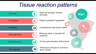 Dermatopathology Basics; Inflammatory Patterns