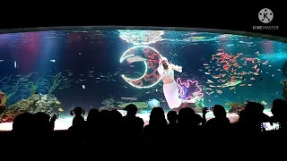 63빌딩 아쿠아리움 인어공주쇼 / 63 Building Aquarium Little Mermaid Show.