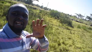 WORLD'S BIGGEST NATURAL BOUNCING CASTLE