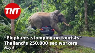 “Elephants stomping on tourists”?! Thailand’s 250K sex workers - May 7