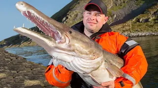 11 BIGGEST Catches Of All Time!