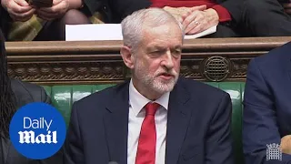 Jeremy Corbyn appears to mouth 'stupid woman' at Theresa May!!