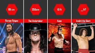WWE Superstars Real Height | WWE Wrestlers Height