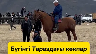 Бүгінгі Таразда өткен көкпар! Атақты Тұмар!