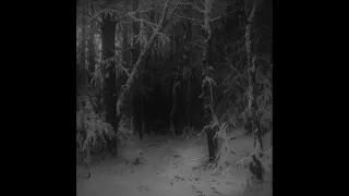 Hiemal - Wanderings Within Forests of Despondency