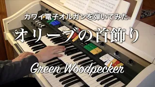 I tried to play KAWAI KE-310 electric organ 【El Bimbo】- Green Woodpecker