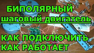 Как подключить биполярный шаговый двигатель. Принцип работы двигателя. Драйвер шд своими руками