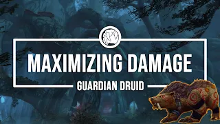 HOW TO MAXIMIZE DAMAGE | Guardian Druid | Shadowlands