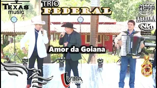 Amor da Goiana - TRIO FEDERAL, (Gravado na Fazenda Holanda)