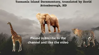Tasmania Island Documentary, translated by David Attenborough, HD