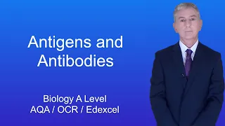 A Level Biology Revision "Antigens and Antibodies"