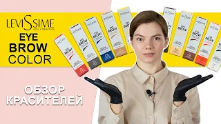 Колористика левисим краска для бровей Levissime. Новая цветовая линейка EyeBrow Tint. Pronail