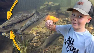 Hand Feeding His Pet Bass in a Stock Tank Pond!