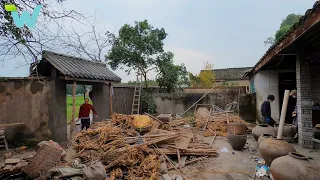 Refusing the salary of $5000 , he returned his hometown to renovate the old house and grow rice