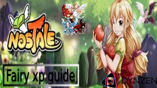 Nostale DynZen - Fairy xp Guide