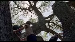 The Tree of Life - childhood (Smetana soundtrack)