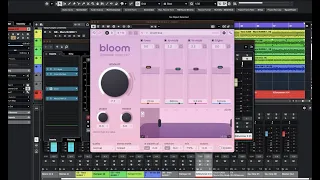 Oeksound - Bloom - Is It Worth The Cost?