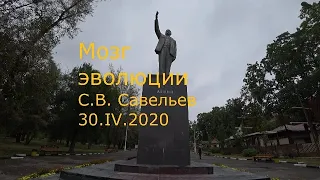 С.В. Савельев - Мозг эволюции