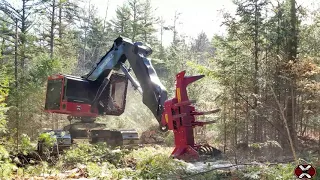 TimberPro TL745D Feller Buncher Cutting in New Hampshire