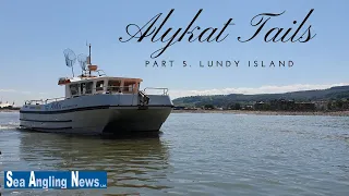 Alykat Tails... Lundy Island Fishing in the Bristol Channel