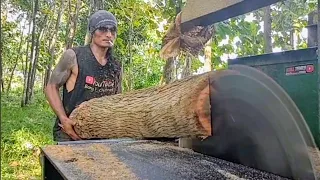 Scary wood saw!! fierce and sharp - Assembled serkel machine