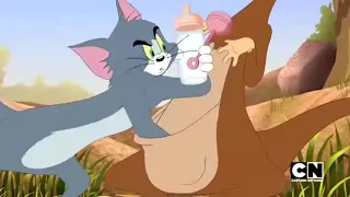 tom and jerry / kanguru-kangaroo