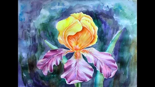 Как нарисовать ирис  Акварель . How to draw Iris Watercolor.