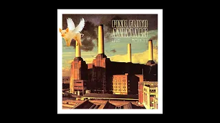 Pink Floyd Animals Live 1977 at Oakland Alameda Coliseum USA