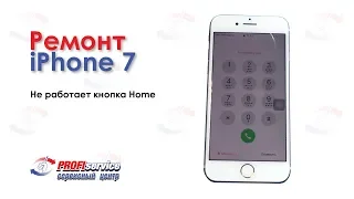 Ремонт iPhone 7 (не работает кнопка Home)