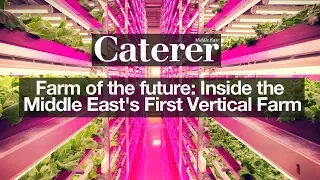 Farm of the future: Inside the Middle East's First Vertical Farm