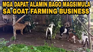 Paano magsimula sa goat farming business?