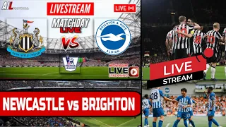 NEWCASTLE UNITED vs BRIGHTON Live Stream Football EPL PREMIER LEAGUE LiveScores+ Commentary #CNEWBHA