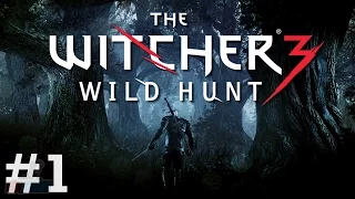 TRAINING GROUNDS - Let's Play The Witcher 3 Wild Hunt - Part 1 | The Witcher 3 Walkthrough