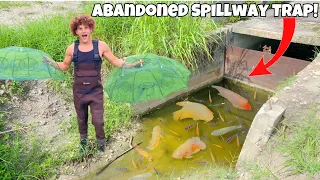 Trapping ABANDONED SPILLWAY Filled With TONS Of CICHLIDS!