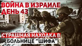 Война в Израиле. Без шанса на спасение