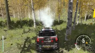 Don't cut means don't cut! | DiRT Rally