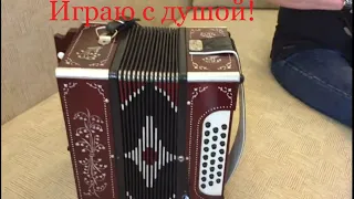 Паша гармонист - Микс мелодий на гармошке (Играй гармонь любимая)