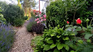 Прогулка по чудесному  саду Людмилы 🌹🌿🌲🌹 Ландшафтный дизайн своими руками walk in a beautiful garden