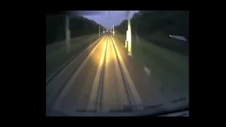 Deer gets hit by train and explodes