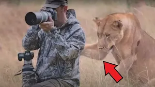 The lioness begs the man for help. What happened next is simply incredible!