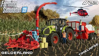 Baling CORN SILAGE with POTTINGER | Animals on Gelderland | Farming Simulator 22 | Episode 23